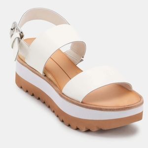 Dolce vita MOXIE new 7.5